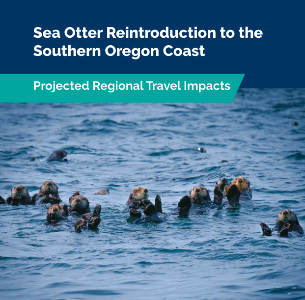 screenshot of south coast tourism study cover